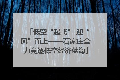 低空“起飞” 迎“风”而上——石家庄全力竞逐低空经济蓝海