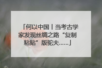 何以中国丨当考古学家发现丝绸之路“复制粘贴”版驼夫……