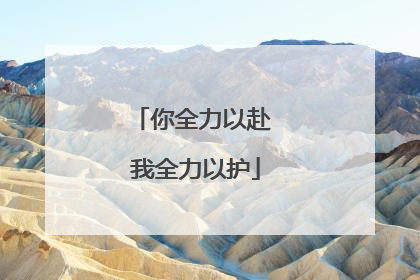 你全力以赴 我全力以护