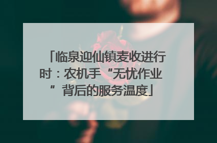 临泉迎仙镇麦收进行时：农机手“无忧作业”背后的服务温度