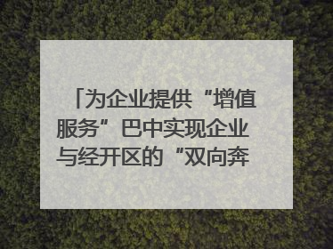 为企业提供“增值服务”巴中实现企业与经开区的“双向奔赴”｜川陕渝网络名人巴中行
