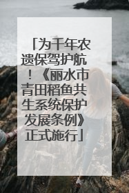 为千年农遗保驾护航！《丽水市青田稻鱼共生系统保护发展条例》正式施行