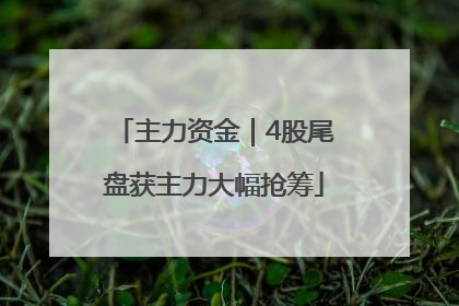 主力资金｜4股尾盘获主力大幅抢筹