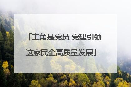 主角是党员 党建引领这家民企高质量发展