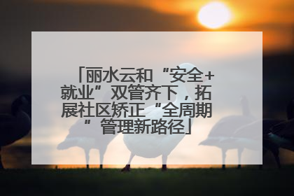 丽水云和“安全+就业”双管齐下，拓展社区矫正“全周期”管理新路径