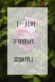 一片叶子里的共富脉络