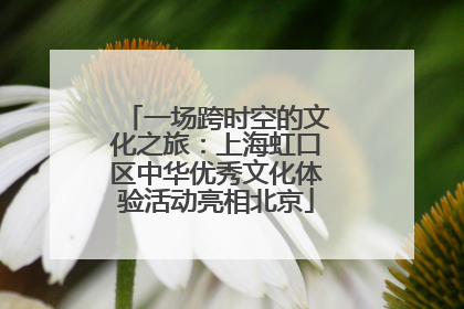 一场跨时空的文化之旅：上海虹口区中华优秀文化体验活动亮相北京