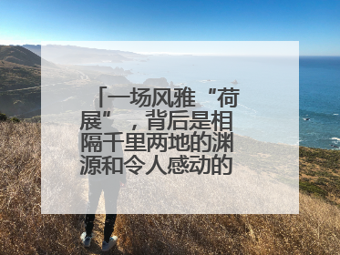 一场风雅“荷展”，背后是相隔千里两地的渊源和令人感动的历史人文情怀