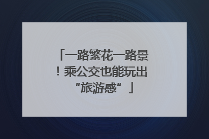 一路繁花一路景！乘公交也能玩出“旅游感”