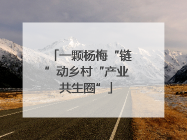 一颗杨梅“链”动乡村“产业共生圈”