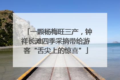 一颗杨梅旺三产，钟祥长滩四季采摘带给游客“舌尖上的惊喜”