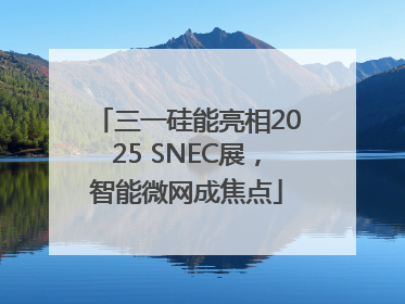 三一硅能亮相2025 SNEC展，智能微网成焦点