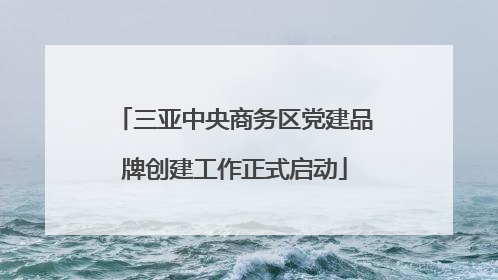 三亚中央商务区党建品牌创建工作正式启动