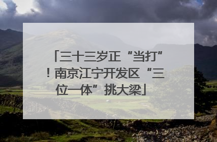 三十三岁正“当打”！南京江宁开发区“三位一体”挑大梁