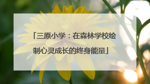 三原小学：在森林学校绘制心灵成长的终身能量
