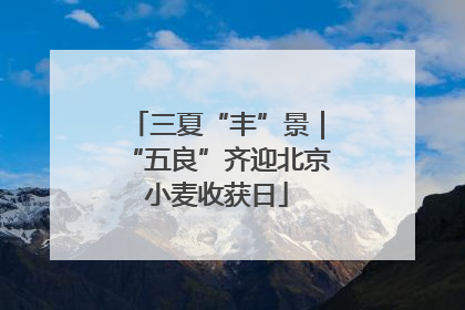 三夏“丰”景｜“五良”齐迎北京小麦收获日