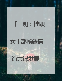 三明：挂职女干部畅叙情谊共谋发展