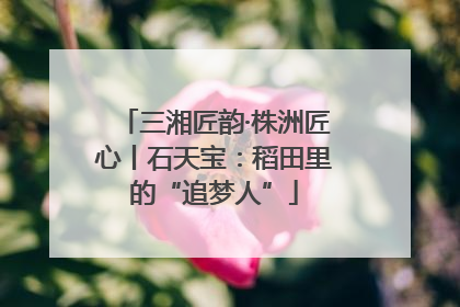 三湘匠韵·株洲匠心丨石天宝：稻田里的“追梦人”