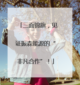 三面锦旗，见证振森能源的“非凡合作”！