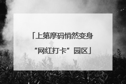 上第摩码悄然变身“网红打卡”园区