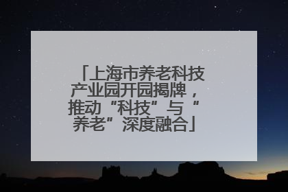 上海市养老科技产业园开园揭牌，推动“科技”与“养老”深度融合
