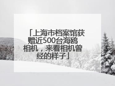 上海市档案馆获赠近500台海鸥相机，来看相机曾经的样子