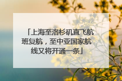 上海至洛杉矶直飞航班复航，至中亚国家航线又将开通一条