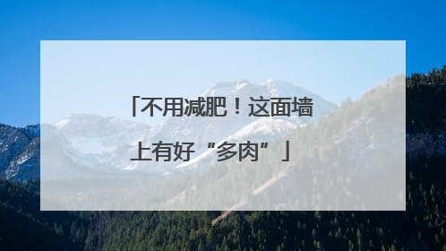 不用减肥！这面墙上有好“多肉”