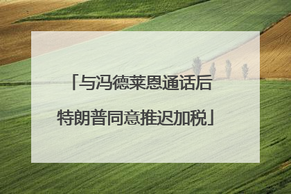 与冯德莱恩通话后 特朗普同意推迟加税