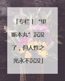 专栏丨“里斯本丸”沉没了，但人性之光永不沉没