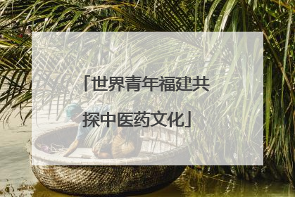 世界青年福建共探中医药文化
