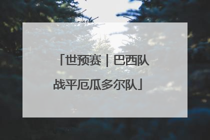 世预赛｜巴西队战平厄瓜多尔队