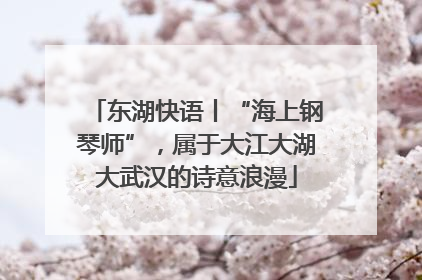 东湖快语丨“海上钢琴师”，属于大江大湖大武汉的诗意浪漫