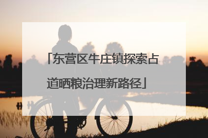 东营区牛庄镇探索占道晒粮治理新路径