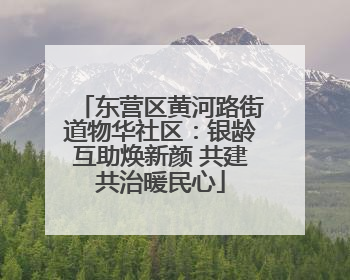 东营区黄河路街道物华社区：银龄互助焕新颜 共建共治暖民心