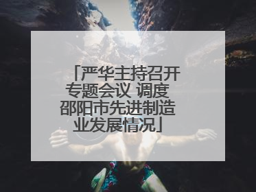 严华主持召开专题会议 调度邵阳市先进制造业发展情况