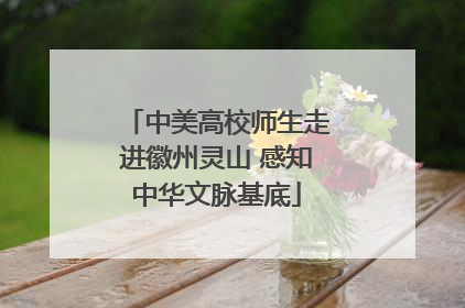 中美高校师生走进徽州灵山 感知中华文脉基底