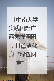 中南大学实践团赴广西凭祥调研：甘蔗渣化身“绿色财富”