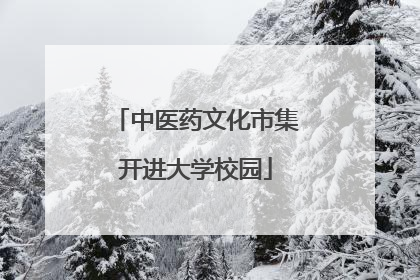 中医药文化市集开进大学校园