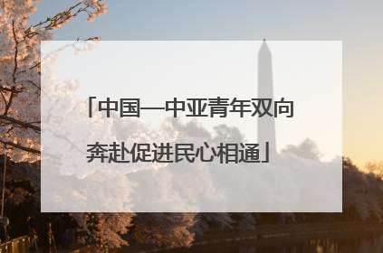 中国—中亚青年双向奔赴促进民心相通
