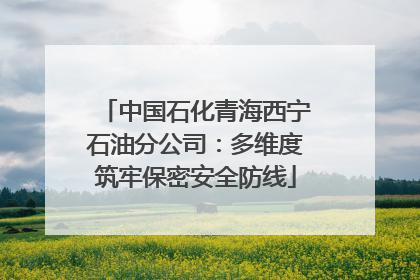中国石化青海西宁石油分公司：多维度筑牢保密安全防线
