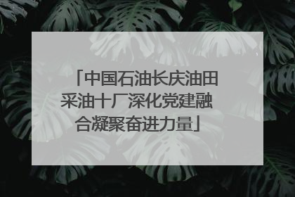 中国石油长庆油田采油十厂深化党建融合凝聚奋进力量