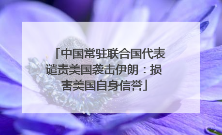 中国常驻联合国代表谴责美国袭击伊朗：损害美国自身信誉