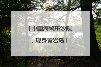 中国海警东沙舰，现身黄岩岛