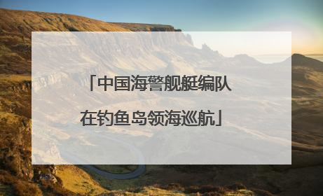 中国海警舰艇编队在钓鱼岛领海巡航