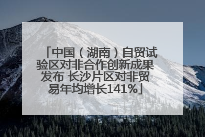 中国（湖南）自贸试验区对非合作创新成果发布 长沙片区对非贸易年均增长141%