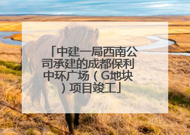 中建一局西南公司承建的成都保利中环广场（G地块）项目竣工