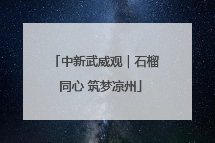 中新武威观｜石榴同心 筑梦凉州
