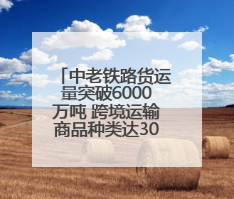 中老铁路货运量突破6000万吨 跨境运输商品种类达3000余种