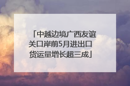 中越边境广西友谊关口岸前5月进出口货运量增长超三成